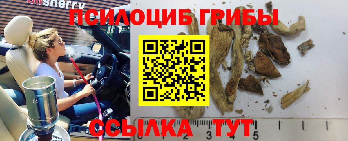 Первоуральск  Псилоцибиновые грибы GOLDEN TEACHER  Вход с VPN 