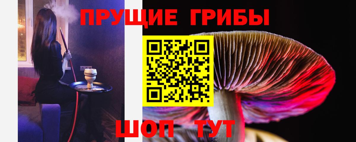 Галлюциногенные грибы Psilocybe Первоуральск